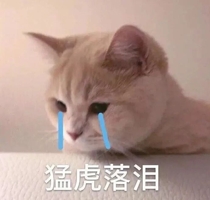 运营账号