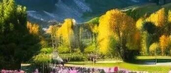 复旦脑科学博士：早上运动和晚上运动，差别有多大？「洞见」发文获10万+ | 原创日榜