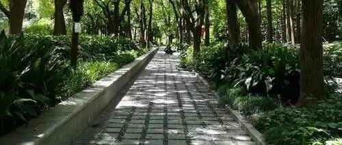 从教二十年，我目睹高中历史从必修到边缘，「三联生活周刊」发文获10万+ | 原创日榜