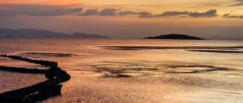 南博的高潮来了！「燕梳楼」发文获10万+ | 原创日榜