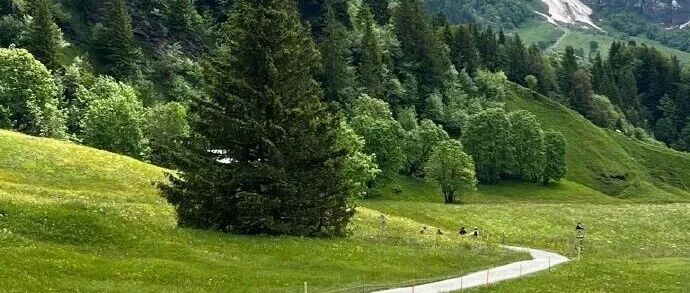 我的内心，比朋友圈丰富百倍，「小林」发文获10万+ | 原创日榜