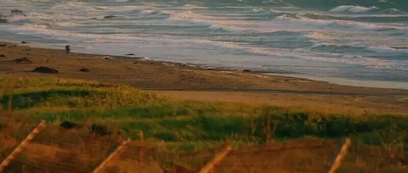 当大学越来越像高中，「人物」发文获10万+ | 原创日榜