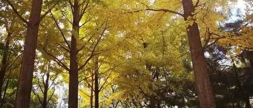 今晚聊聊“苏超”，「新华社」发文获10万+ | 原创日榜