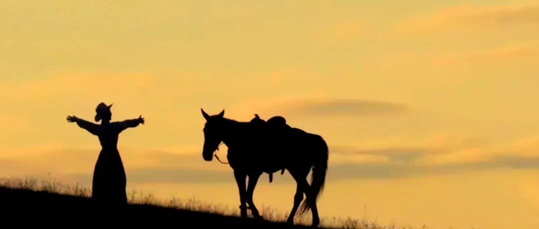 贺娇龙走了，很多人想她，「南风窗」发文获10万+ | 原创日榜