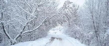 诺奖气坏了，「牛弹琴」发文获10万+ | 原创日榜