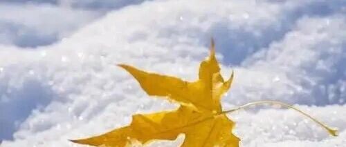 人生最重要的事，是什么？「小林」发文获10万+ | 原创日榜