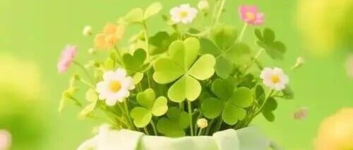 年薪45万美元的程序员之死：“斩杀线”究竟有多可怕？「拾遗」发文获10万+ | 原创日榜