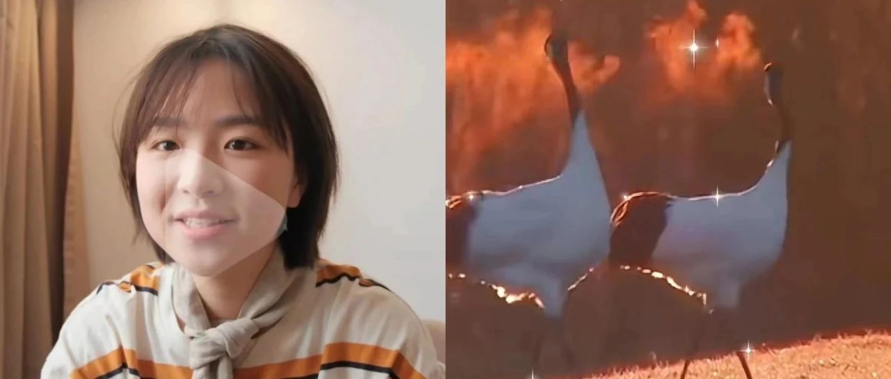 “何香蓓Betty”反击种族歧视抖音一周涨粉92万；“~Liu先森”仙鹤吐息视频小红书获赞103万 | 涨粉周榜