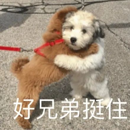 再堅持24天就過年了！在此之前，可以先看看2024新榜大會最終議程（附報名方式）