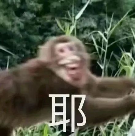 如何通过CPS变现
