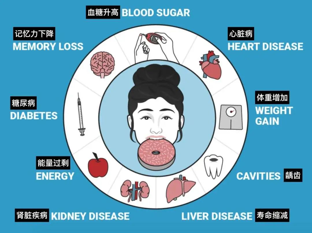 断糖法 18个断糖食谱 21个断糖技巧 营养学 心理学 运行学 三位一体科学瘦身