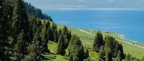 拯救一只被困井下两年的小狗，「人物」发文获10万+ | 原创日榜