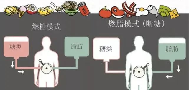 断糖法 18个断糖食谱 21个断糖技巧 营养学 心理学 运行学 三位一体科学瘦身