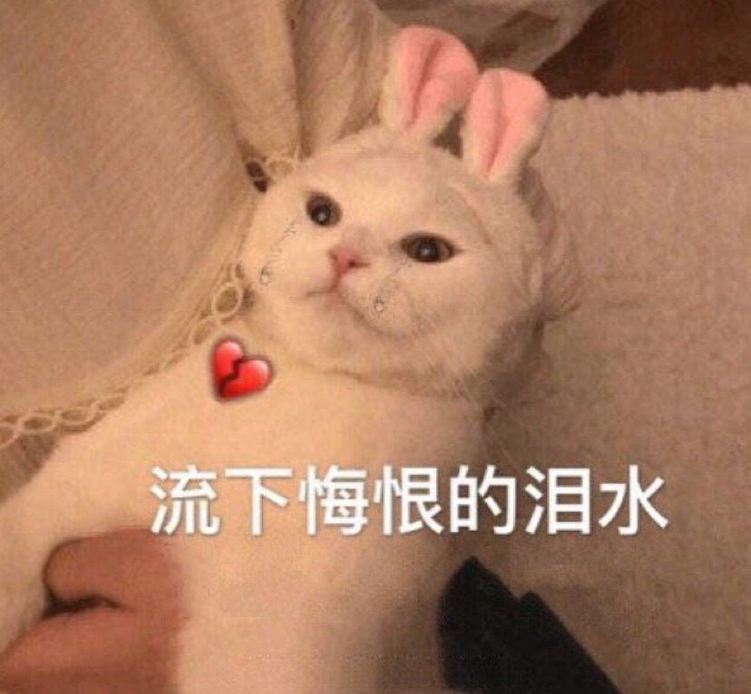 保姆级投放指南