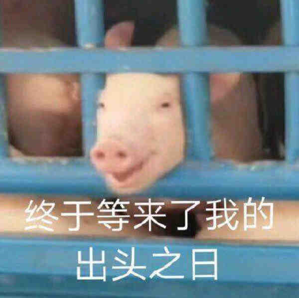 双十一投放复盘