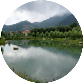 公众号黑马榜undefined排行榜第20名汾水文学,黑马指数86.3,新榜指数666.1,总阅读数8673,头条8612,平均2168,最高8424,总点赞数55,总在看数44