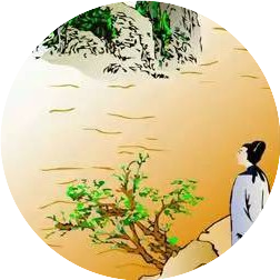 公众号黑马榜undefined排行榜第1名古诗词大全365首,黑马指数96.9,新榜指数544.2,总阅读数2051,头条1571,平均410,最高1571,总点赞数3,总在看数1