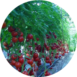 公众号黑马榜undefined排行榜第15名二培技术,黑马指数86.7,新榜指数628.5,总阅读数1万+,头条1万+,平均12100,最高12100,总点赞数88,总在看数10