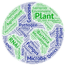 公众号学术排行榜第19名Ad植物微生物,新榜指数764.8,总阅读数19万+,头条2万+,平均3427,最高27662,总点赞数512,总在看数227