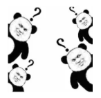 小红书广告