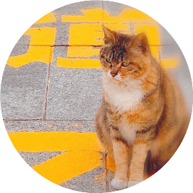公众号黑马榜undefined排行榜第17名猫享道,黑马指数84.7,新榜指数560.0,总阅读数1967,头条1967,平均1967,最高1967,总点赞数7,总在看数1