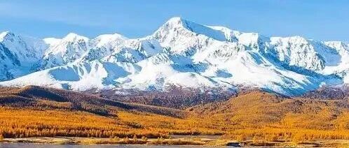 忍了很久，发现用很少的钱就能解决的事情，「每日豆瓣」发文获10万+ | 原创日榜