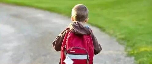 考编爽文成真了？考211编制没考上，下一秒985录取我了！「毕导」发文获10万+ | 原创日榜