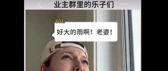 在业主群里看乐子有多快乐？小红书获赞超30万；用十分钟视频让你释怀倒霉的一生，B站超200万人围观  | 今日爆款